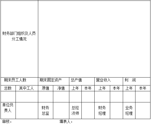 被审计单位基本情况表模板(图2)